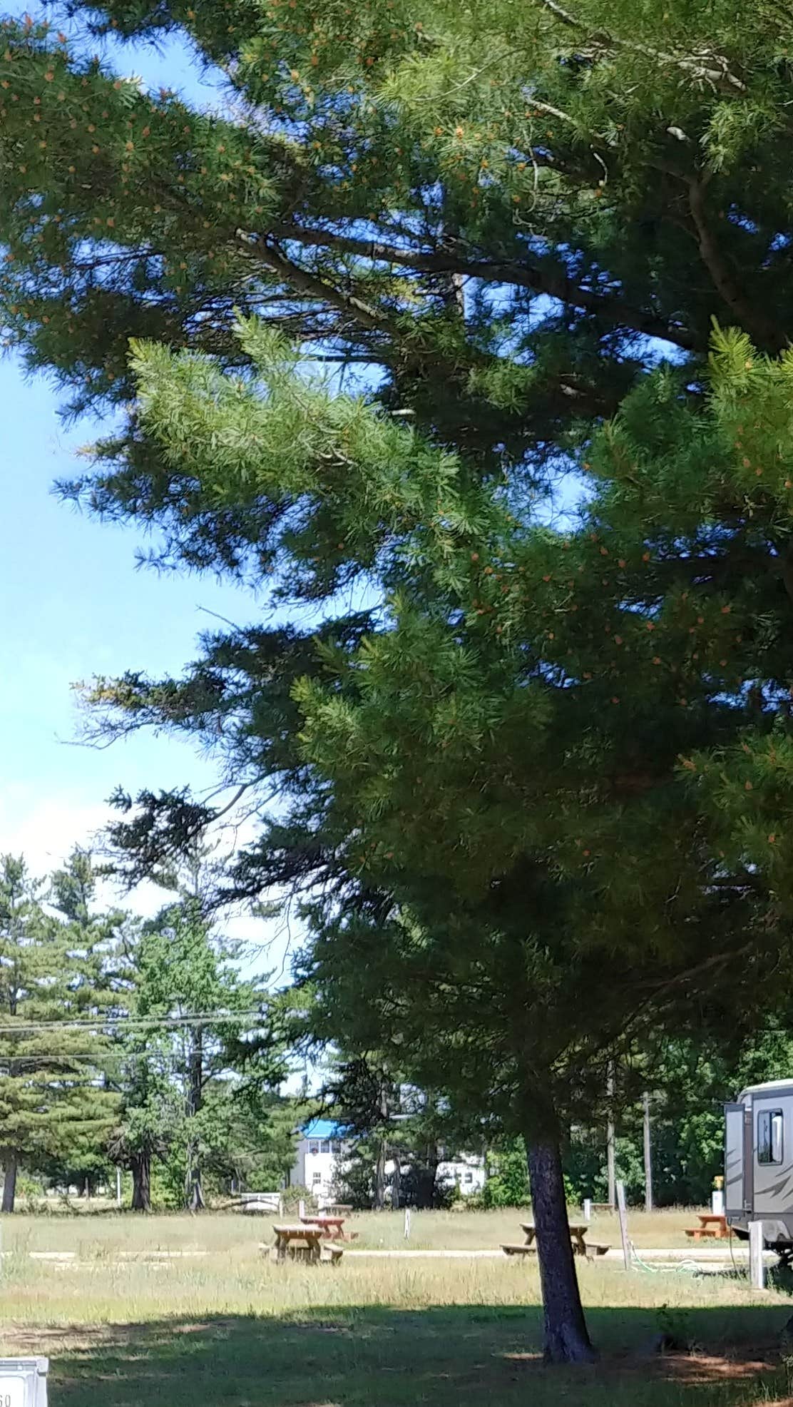 Camper-submitted photo at Kinross RV Park East near Rudyard, MI