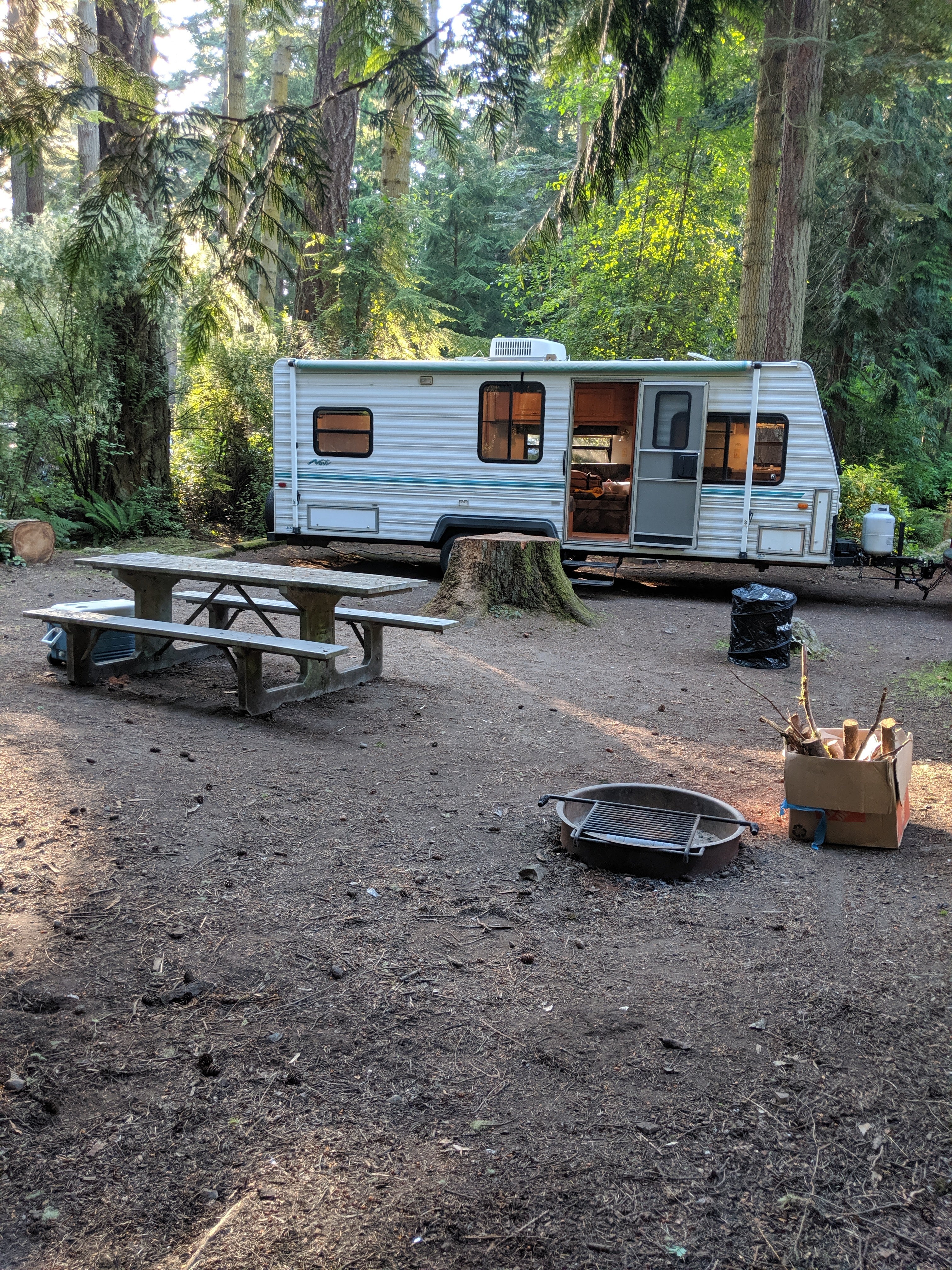 Camper submitted image from Bogachiel State Park Campground - 5
