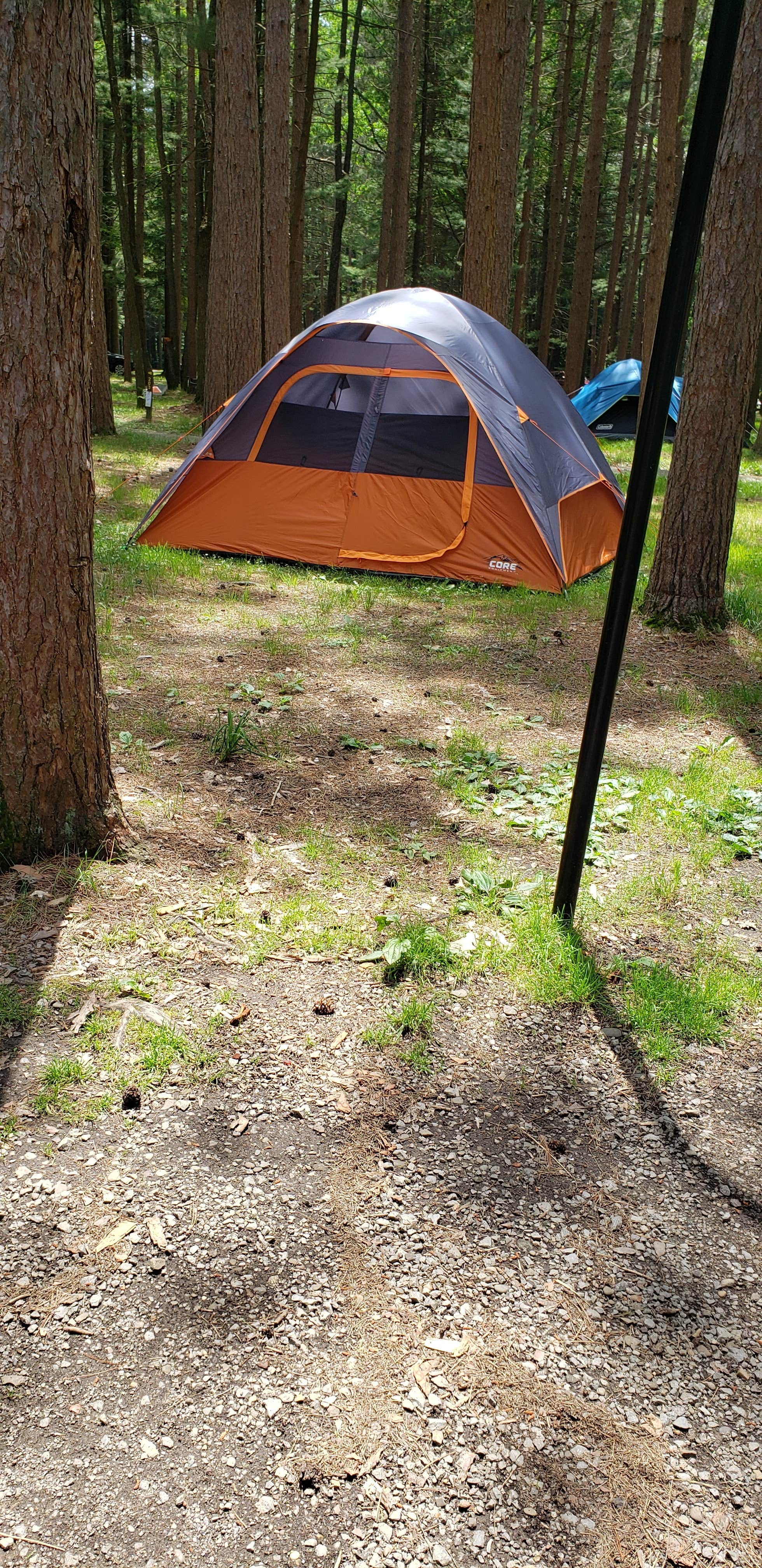 Joe I.'s photo at Cook Forest State Park Campground & Cabins near Clarion, PA