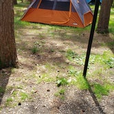 Review photo of Cook Forest State Park Campground by Joe I., June 14, 2021