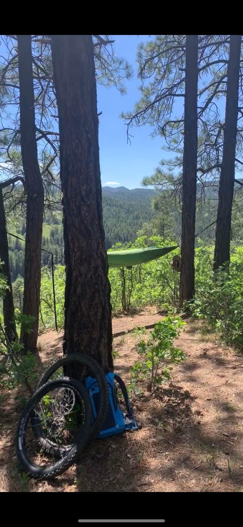 Turkey Creek Trail # 580 - Pagosa Springs Area Trails