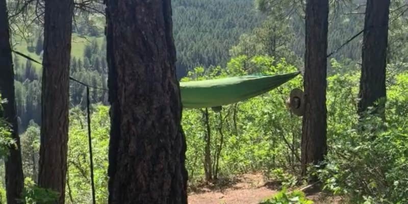 Camper submitted image from Turkey Creek Road