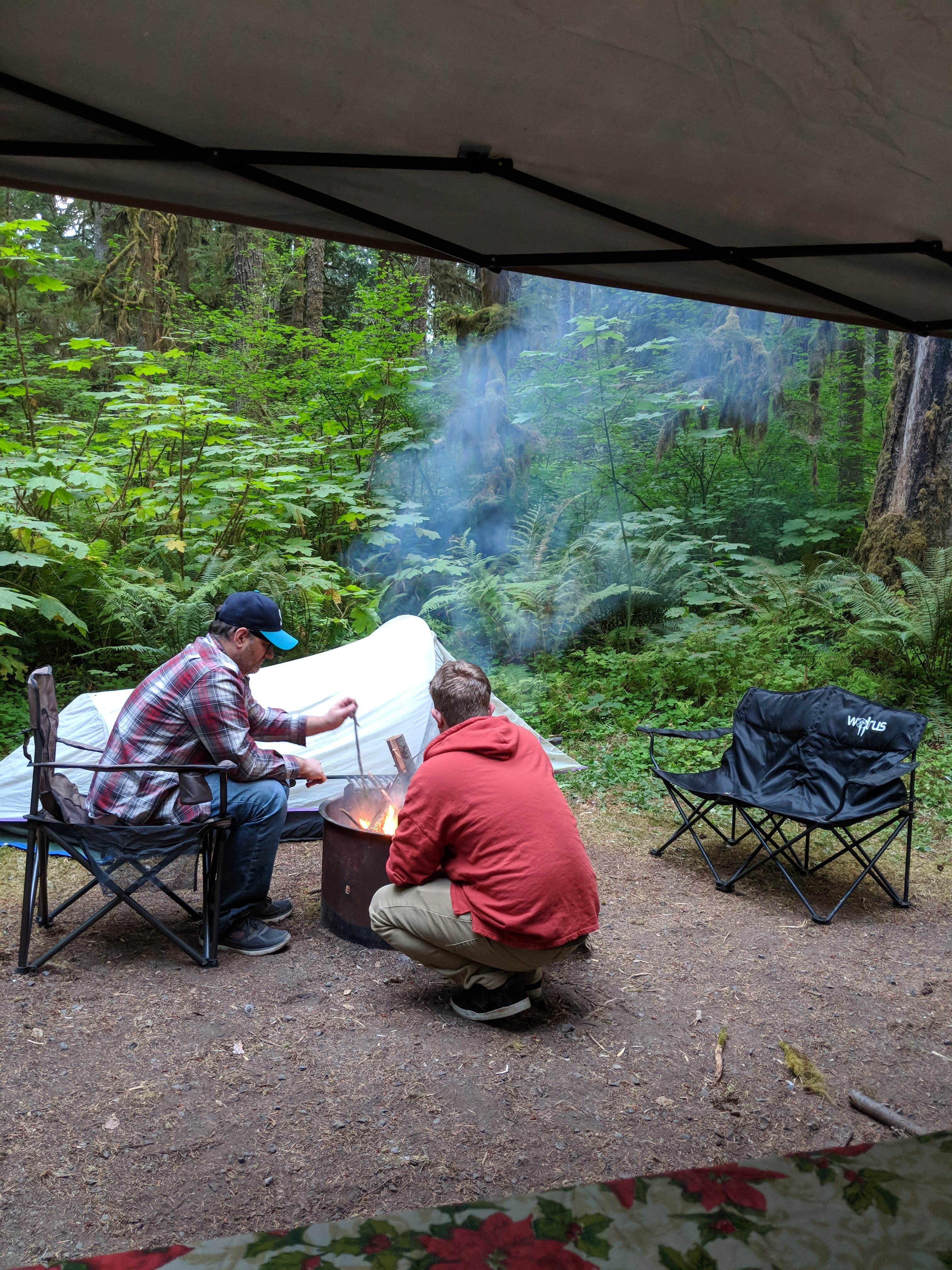 Stephanie C.'s photo at Bogachiel State Park Campground near La Push, WA