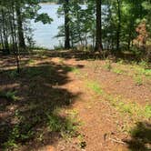 Review photo of COE Allatoona Lake Old Highway 41 No 3 Campground by Diana H., June 14, 2021