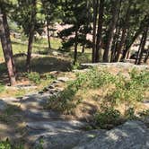 Review photo of Mount Rushmore KOA at Palmer Gulch by Billy B., June 14, 2021