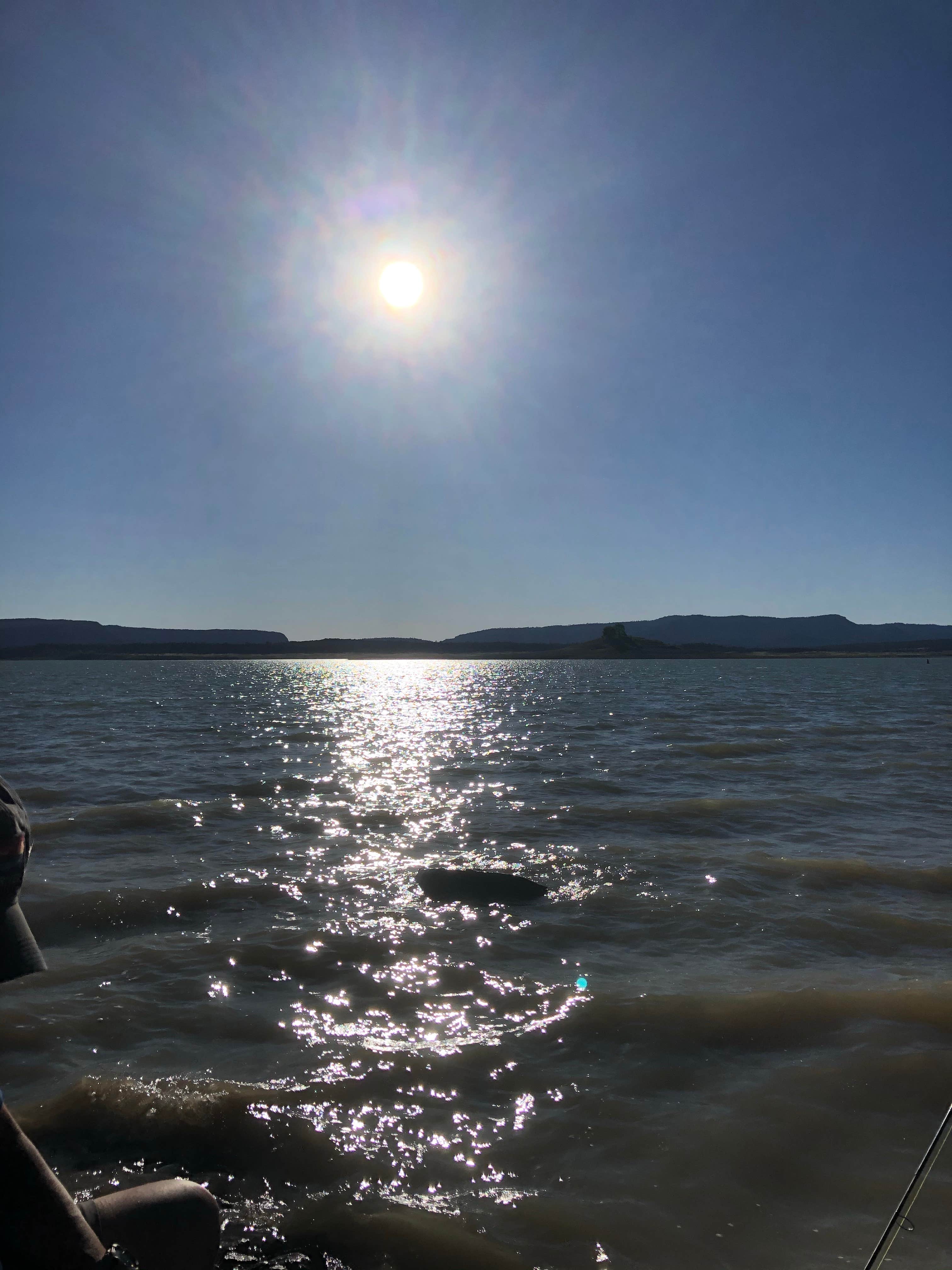 Camper-submitted photo at Island View — Heron Lake State Park near Los Ojos, NM