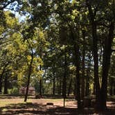 Review photo of Coffee Mill Lake Recreation Area by Tom K., June 9, 2018