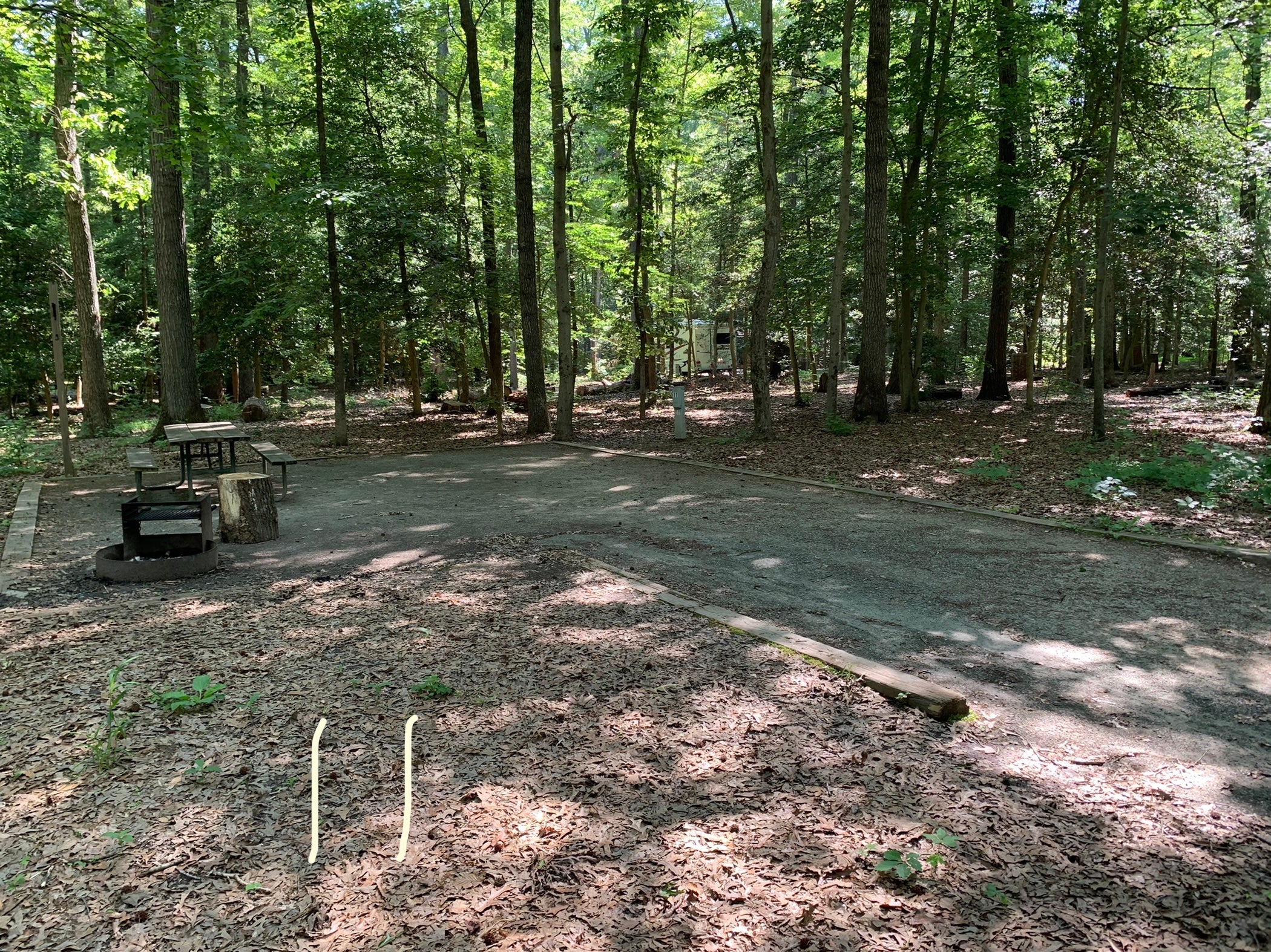 Camper submitted image from Smallwood State Park Campground - TEMPORARILY CLOSED THROUGH JULY 2023 - 4