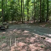 Review photo of Smallwood State Park Campground - TEMPORARILY CLOSED THROUGH JULY 2023 by Laure D., June 14, 2021