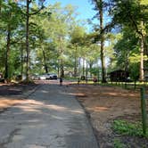 Review photo of Smallwood State Park Campground - TEMPORARILY CLOSED THROUGH JULY 2023 by Laure D., June 14, 2021