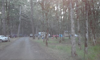 Camping near Timber Valley Park SKP Co-Op: Whistlers Bend County Park, Sutherlin, Oregon