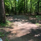 Review photo of Smallwood State Park Campground - TEMPORARILY CLOSED THROUGH JULY 2023 by Laure D., June 14, 2021