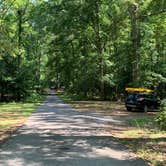 Review photo of Smallwood State Park Campground - TEMPORARILY CLOSED THROUGH JULY 2023 by Laure D., June 14, 2021