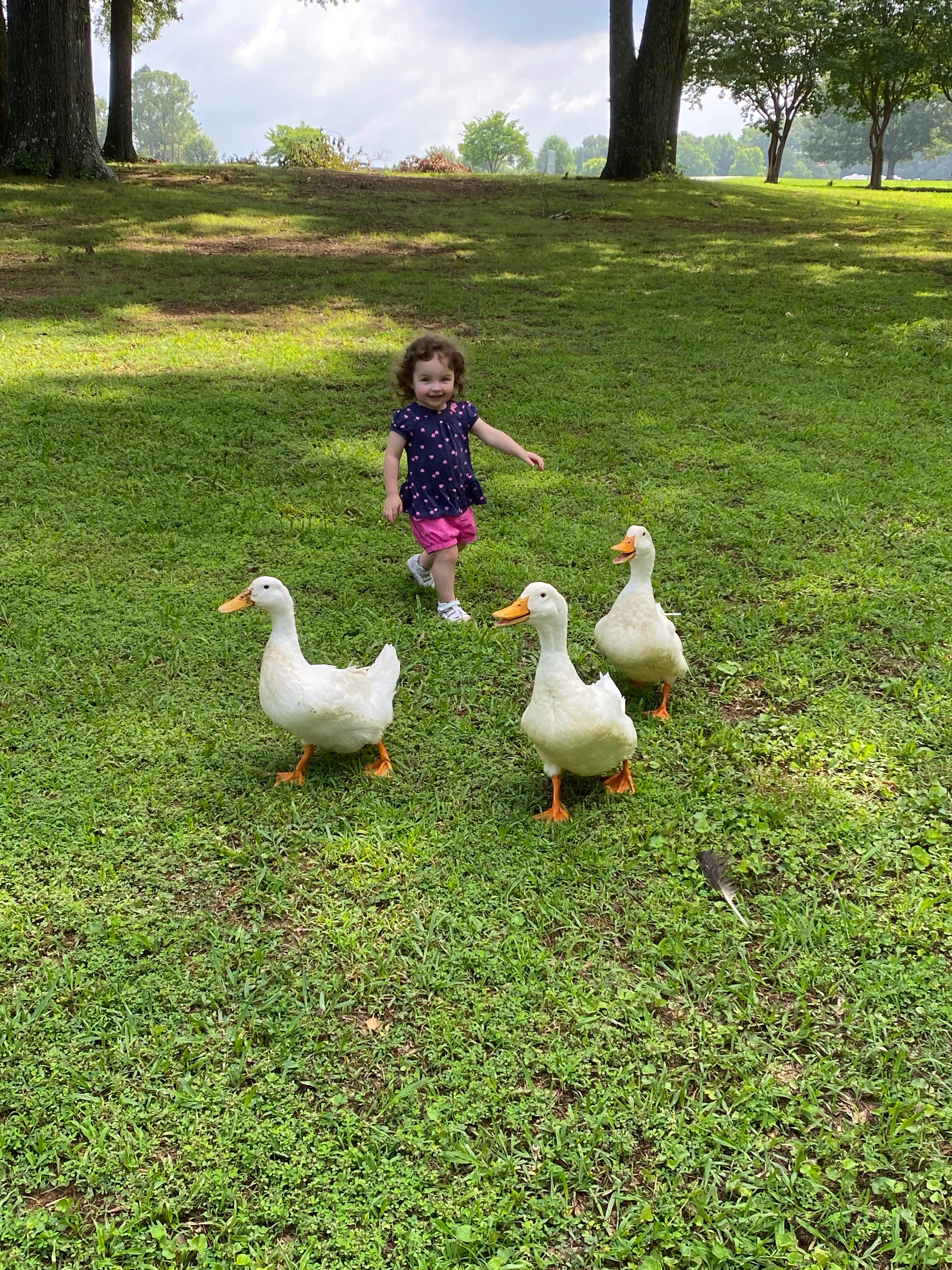 Camper-submitted photo at Sharon Johnston Park near Union Grove, AL