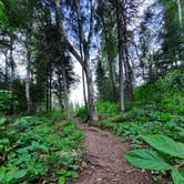 Review photo of Sullivan Lake Campground by Corey O., June 14, 2021