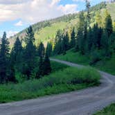 Review photo of Dispersed camping along Cliff Creek in Bridger-Teton National Forest by BLURDVSN , June 14, 2021