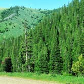 Review photo of Dispersed camping along Cliff Creek in Bridger-Teton National Forest by BLURDVSN , June 14, 2021