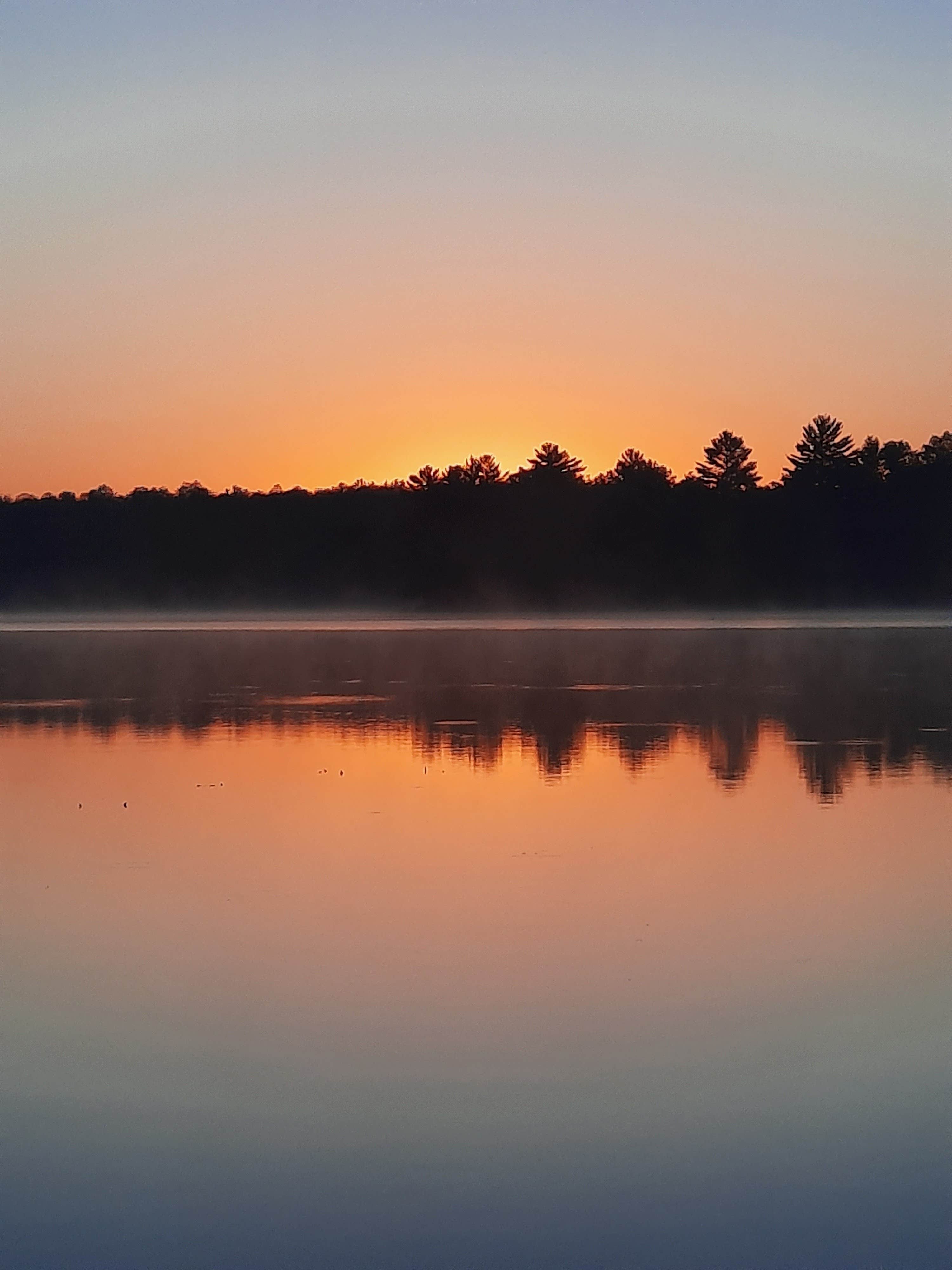 Camper submitted image from Carney Lake State Forest Campground - 1