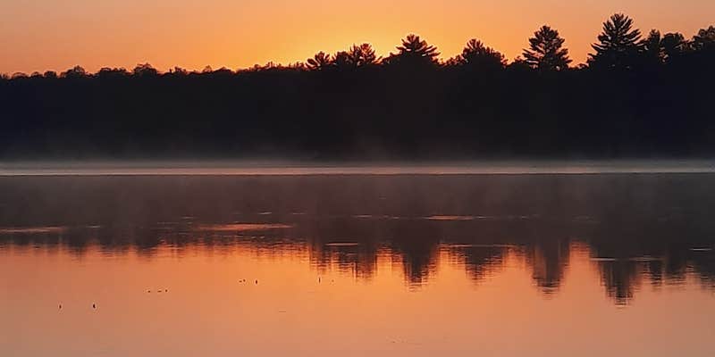 Camper submitted image from Carney Lake State Forest Campground