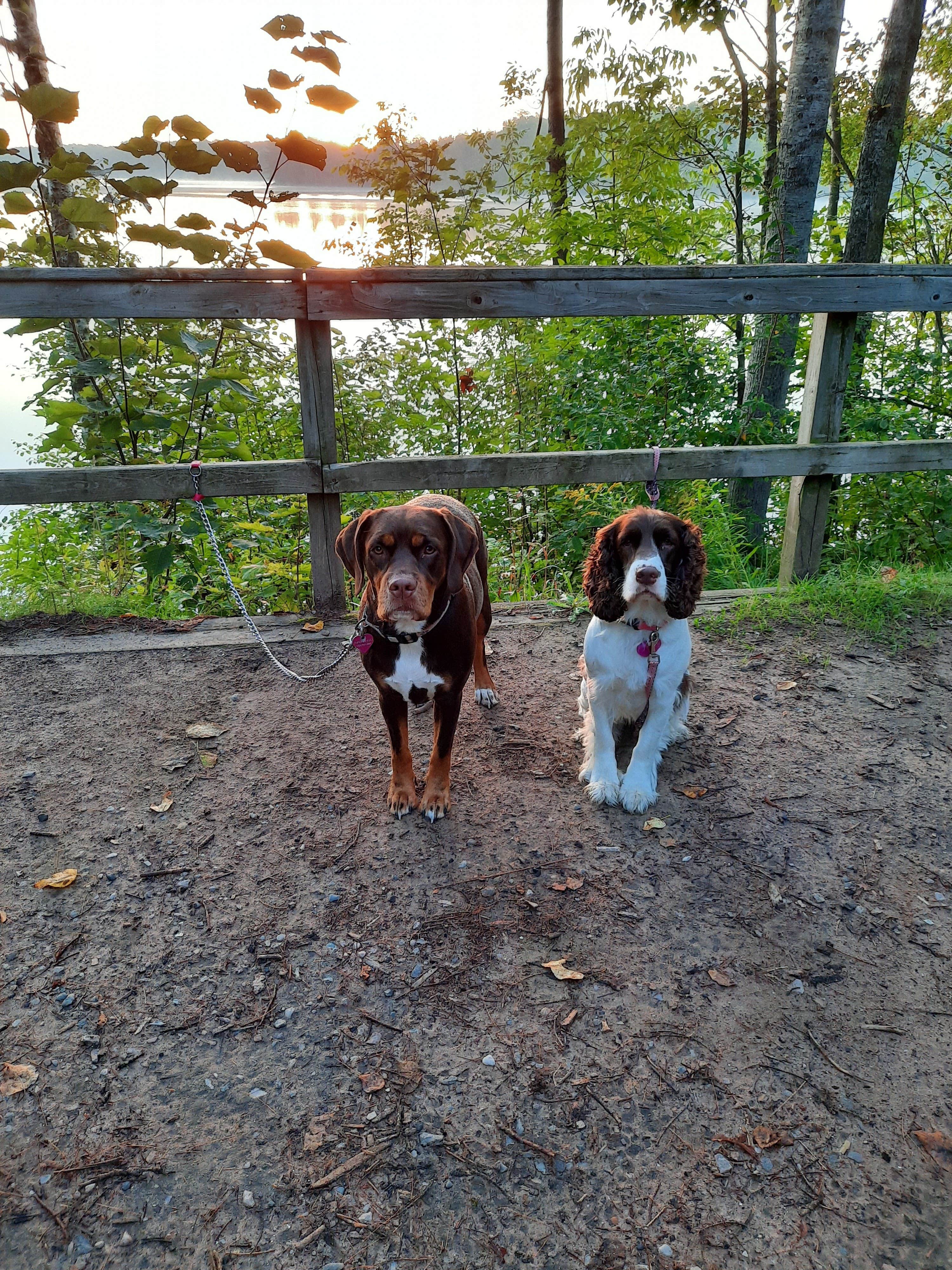 Camper submitted image from Carney Lake State Forest Campground - 4