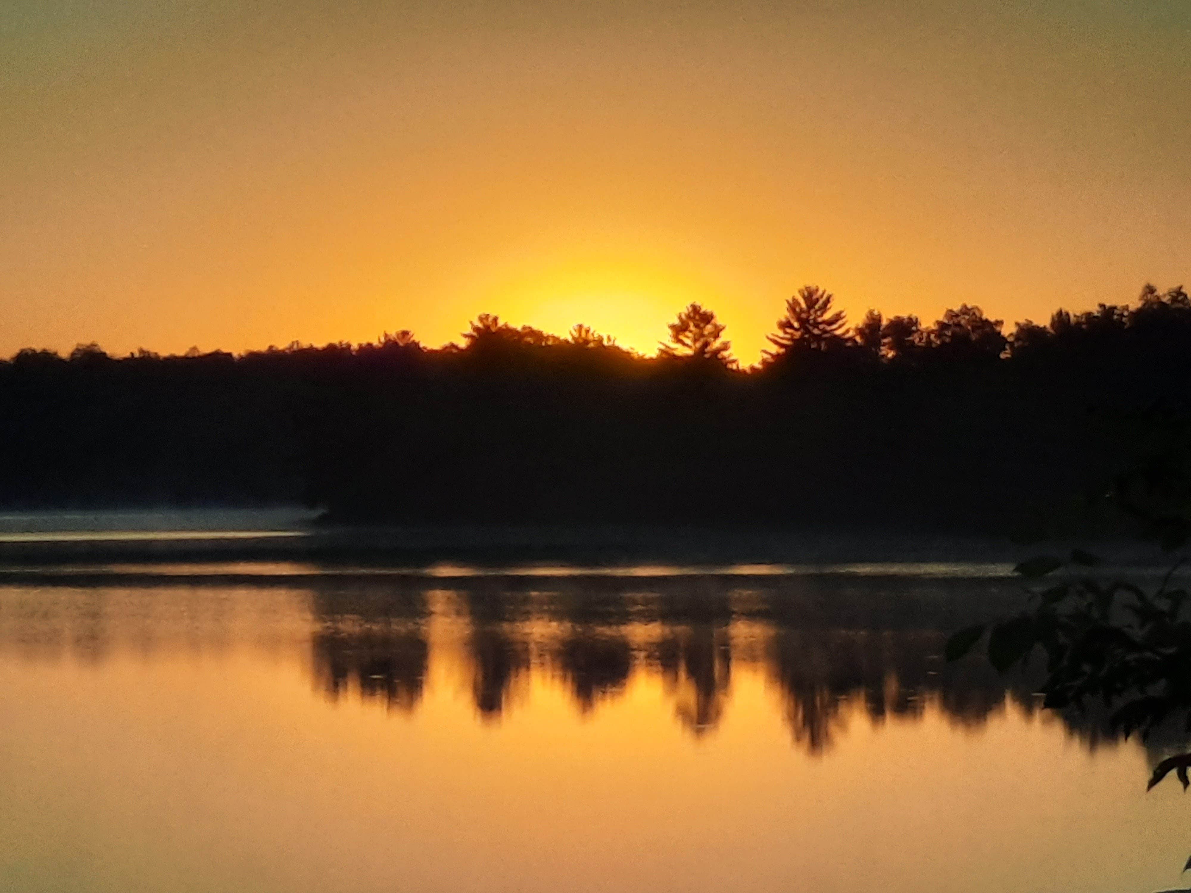 Camper submitted image from Carney Lake State Forest Campground - 2