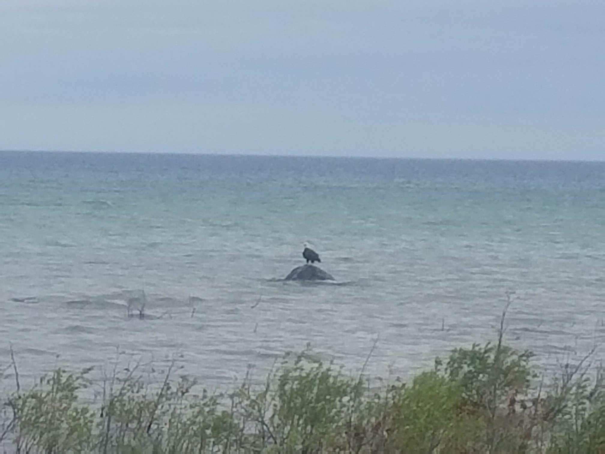 Camper-submitted photo at Fisherman's Island State Park Campground near Boyne Falls, MI
