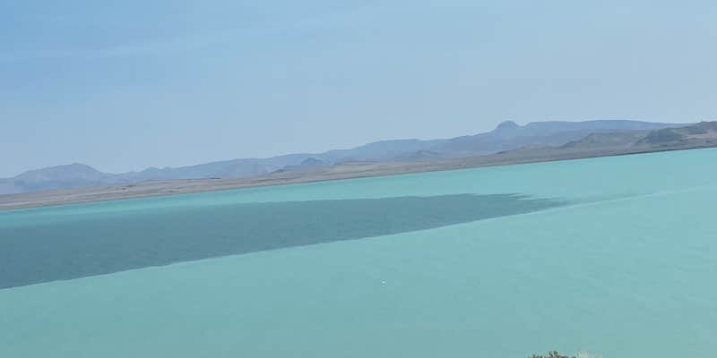 Camper submitted image from Pyramid Lake Marina and RV Park