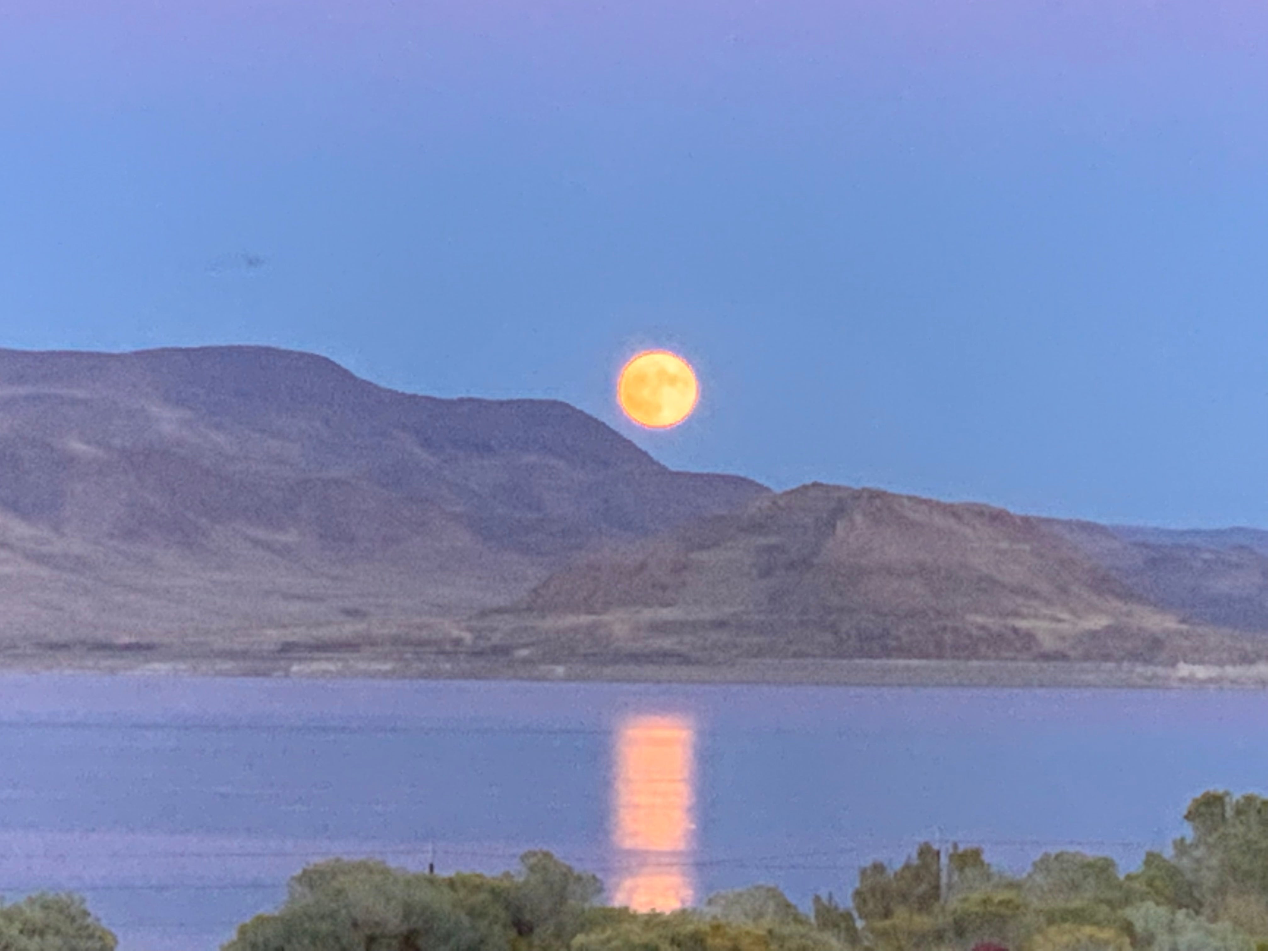 Camper submitted image from Pyramid Lake Marina and RV Park - 3