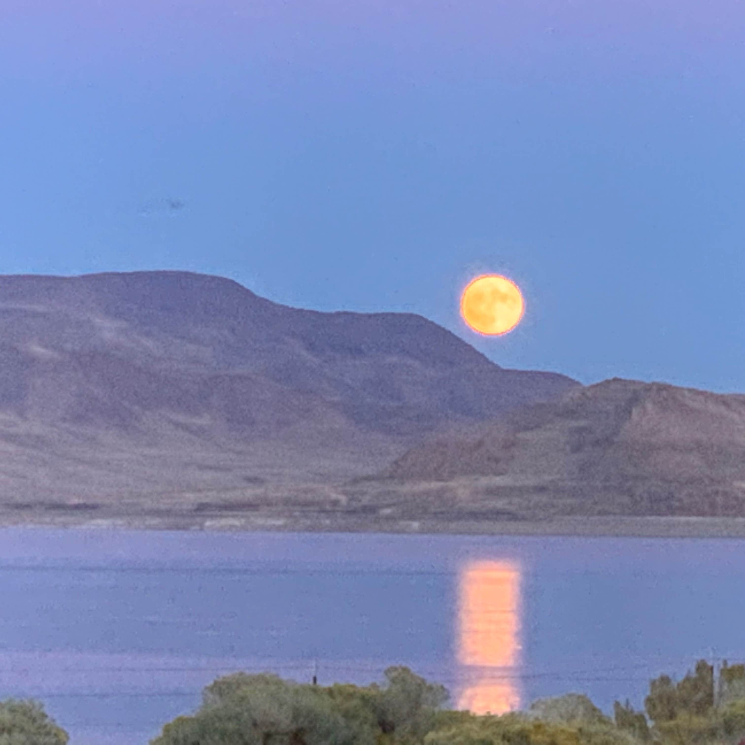 Pyramid Lake Marina and RV Park Camping The Dyrt