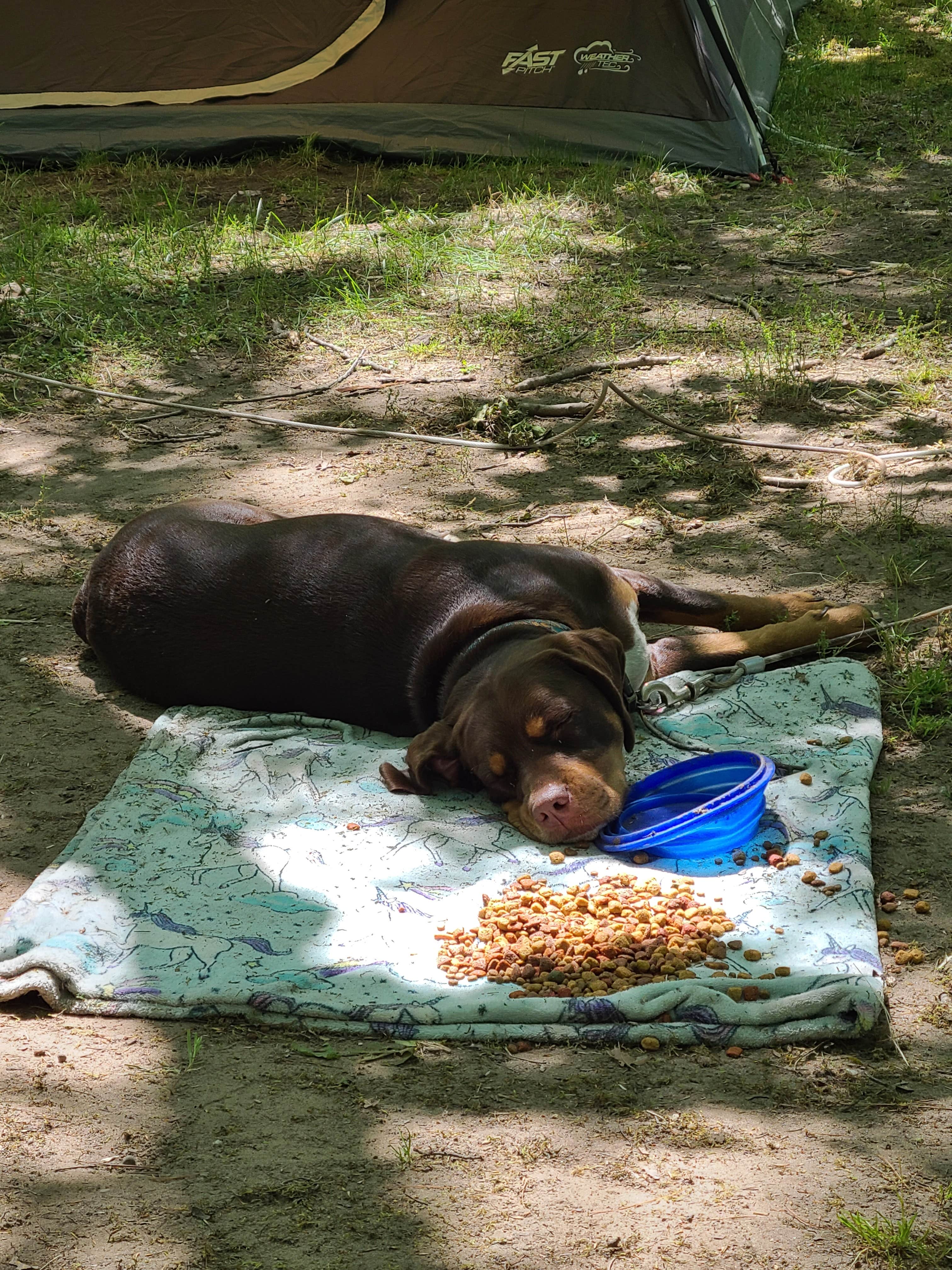 Camper-submitted photo at Jewell Lake Campground near Harrisville, MI
