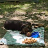 Review photo of Jewell Lake Campground by Corey O., June 14, 2021