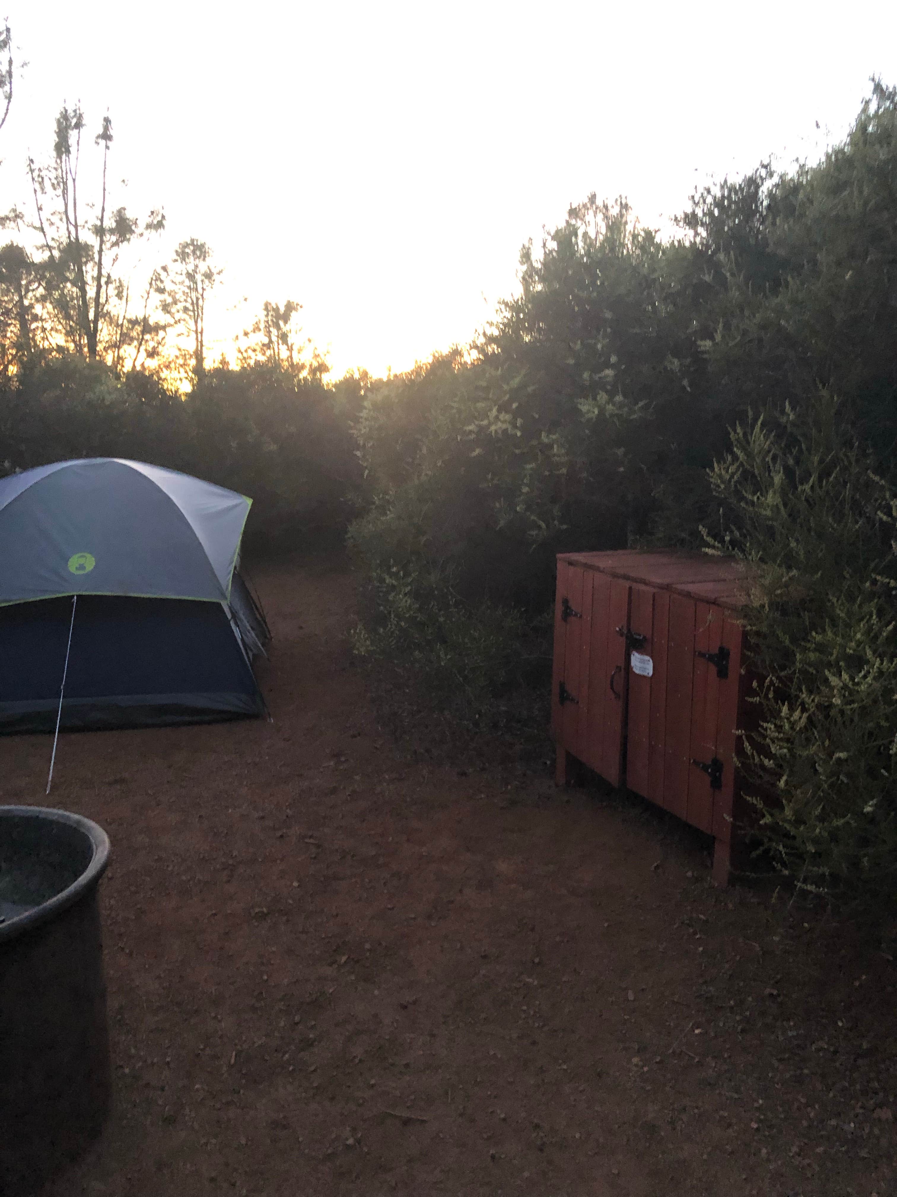 Nate W.'s photo at Live Oak Campground — Mount Diablo State Park Campground near Albany, CA