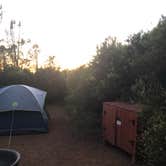 Review photo of Live Oak Campground — Mount Diablo State Park Campground by Nate W., June 14, 2021