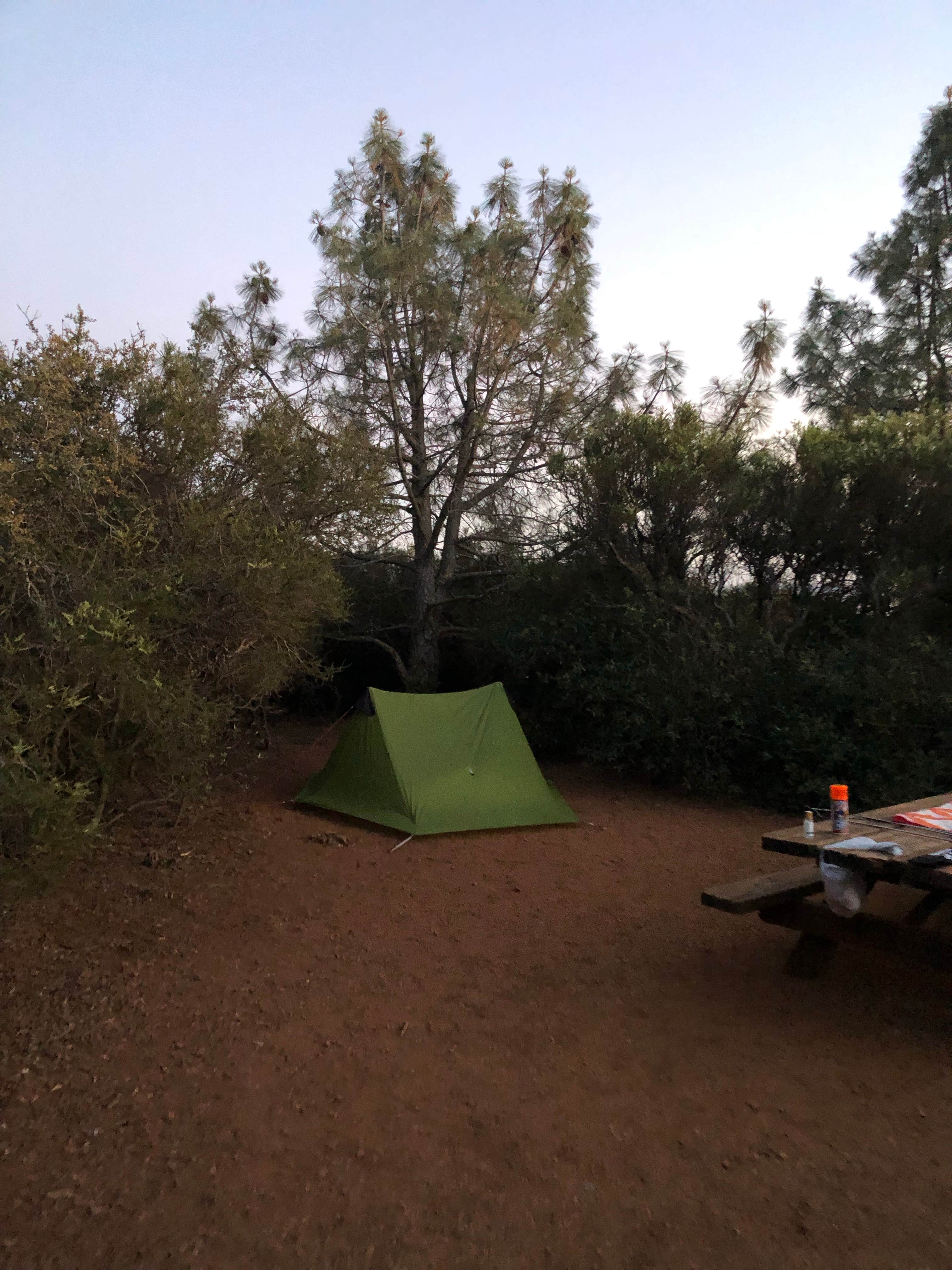 Nate W.'s photo at Live Oak Campground — Mount Diablo State Park Campground near Albany, CA