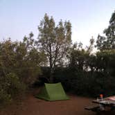 Review photo of Live Oak Campground — Mount Diablo State Park Campground by Nate W., June 14, 2021