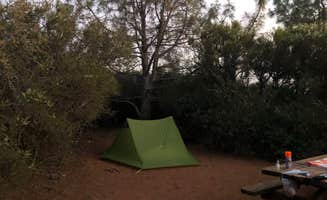 Nate W.'s photo at Live Oak Campground — Mount Diablo State Park Campground near Danville, CA
