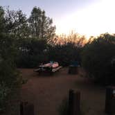 Review photo of Live Oak Campground — Mount Diablo State Park Campground by Nate W., June 14, 2021