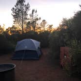 Review photo of Live Oak Campground — Mount Diablo State Park Campground by Nate W., June 14, 2021