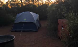Nate W.'s photo at Live Oak Campground — Mount Diablo State Park Campground near Diablo, CA