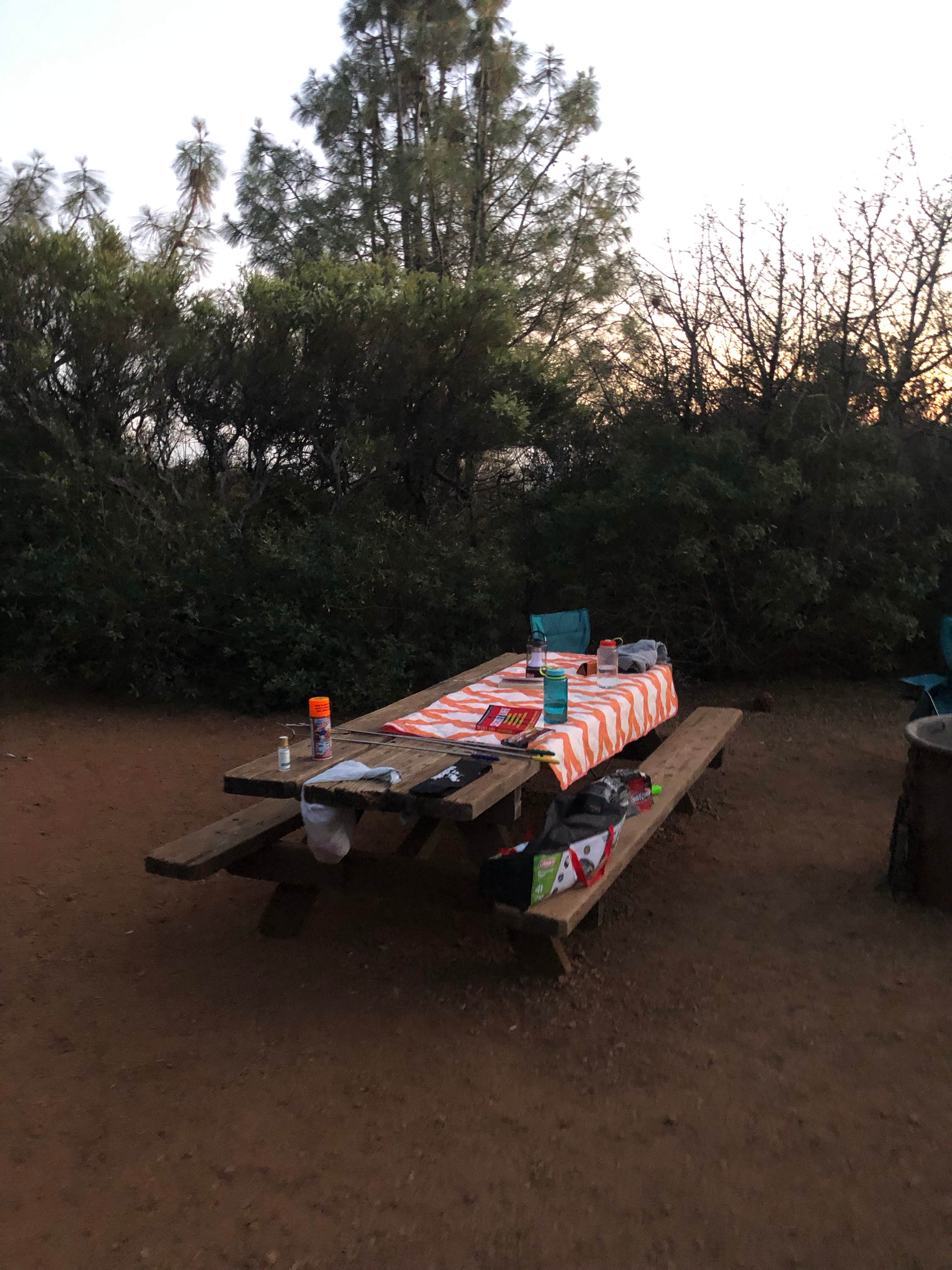 Nate W.'s photo at Live Oak Campground — Mount Diablo State Park Campground near Alamo, CA