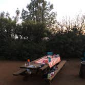 Review photo of Live Oak Campground — Mount Diablo State Park Campground by Nate W., June 14, 2021