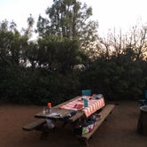 Review photo of Mount Diablo State Park Campground by Nate W., June 14, 2021