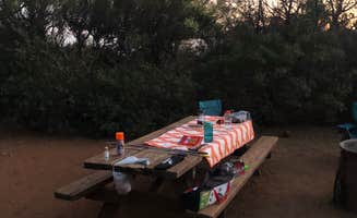 Nate W.'s photo at Live Oak Campground — Mount Diablo State Park Campground near Pacheco, CA