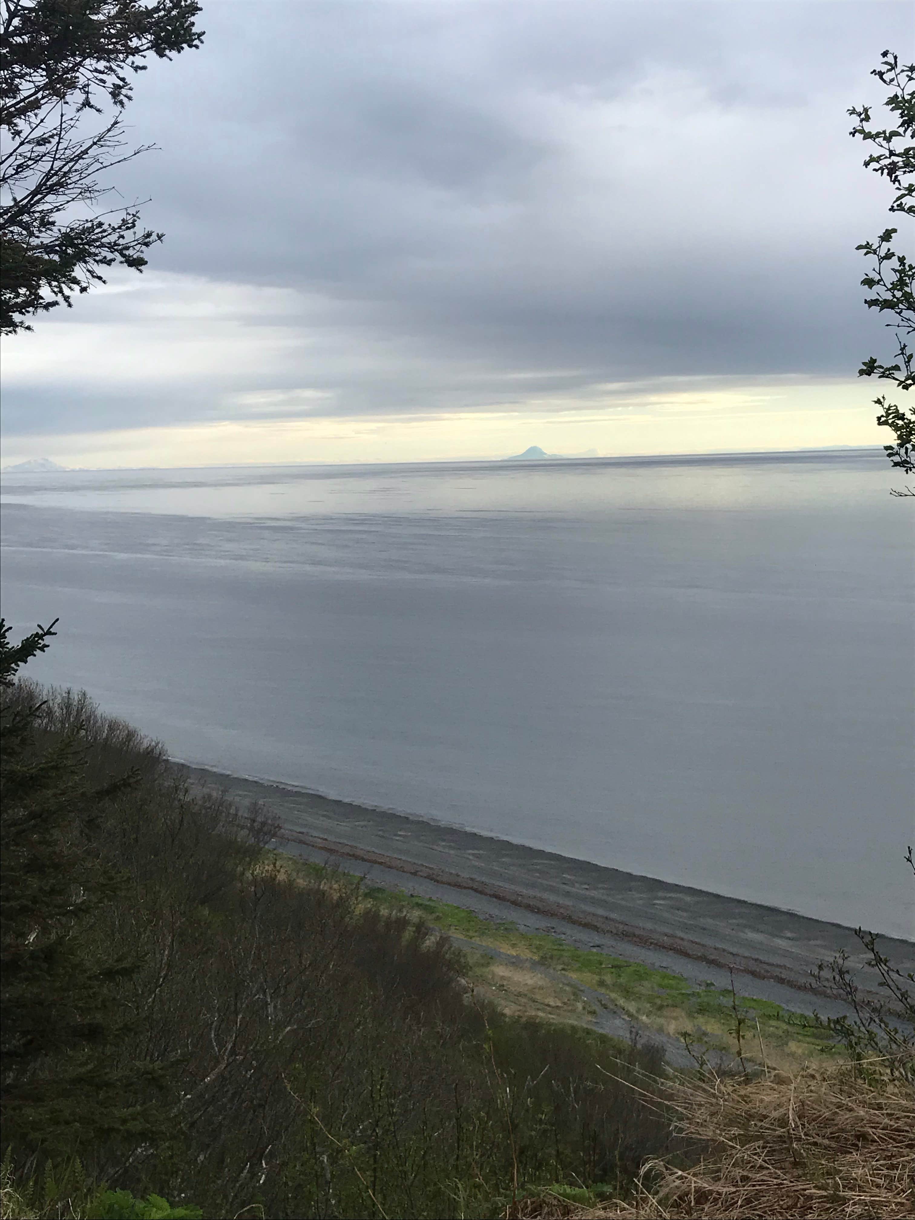 Camper-submitted photo at Homer Spit Campground in Alaska