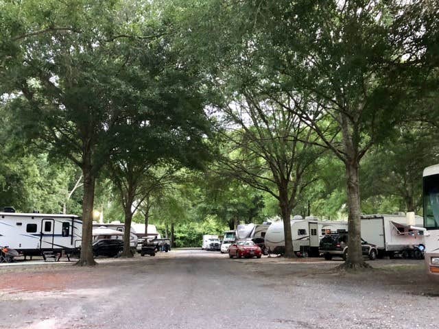 Camper submitted image from Dixieland RV Park - PERMANENTLY CLOSED - 5