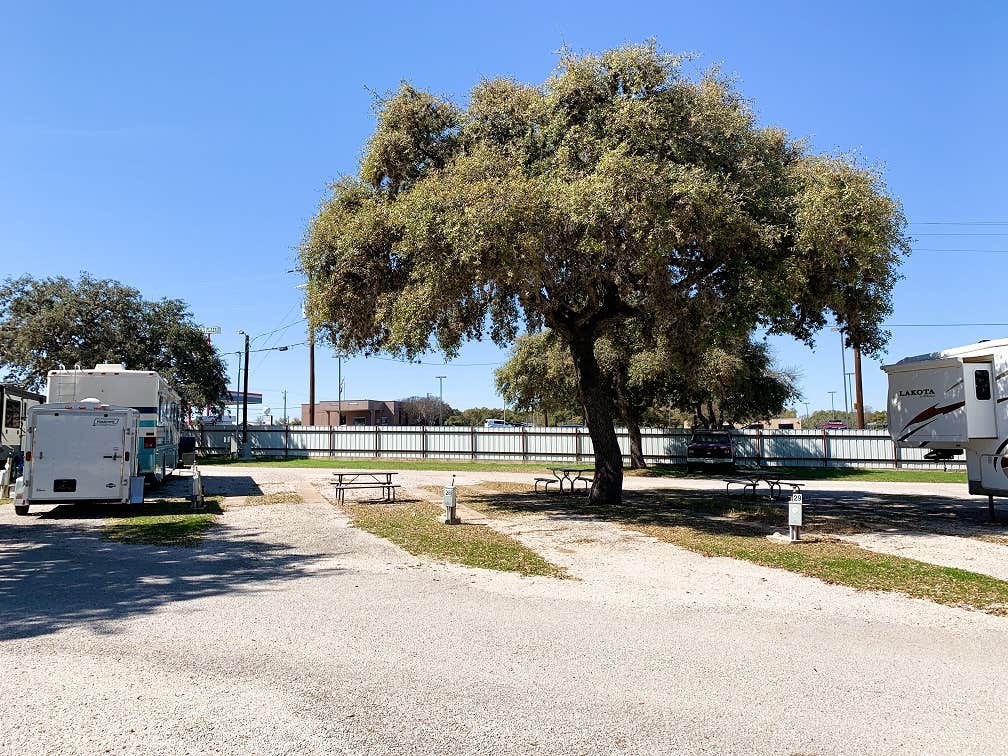 Camper submitted image from Roadrunner RV Park - 3