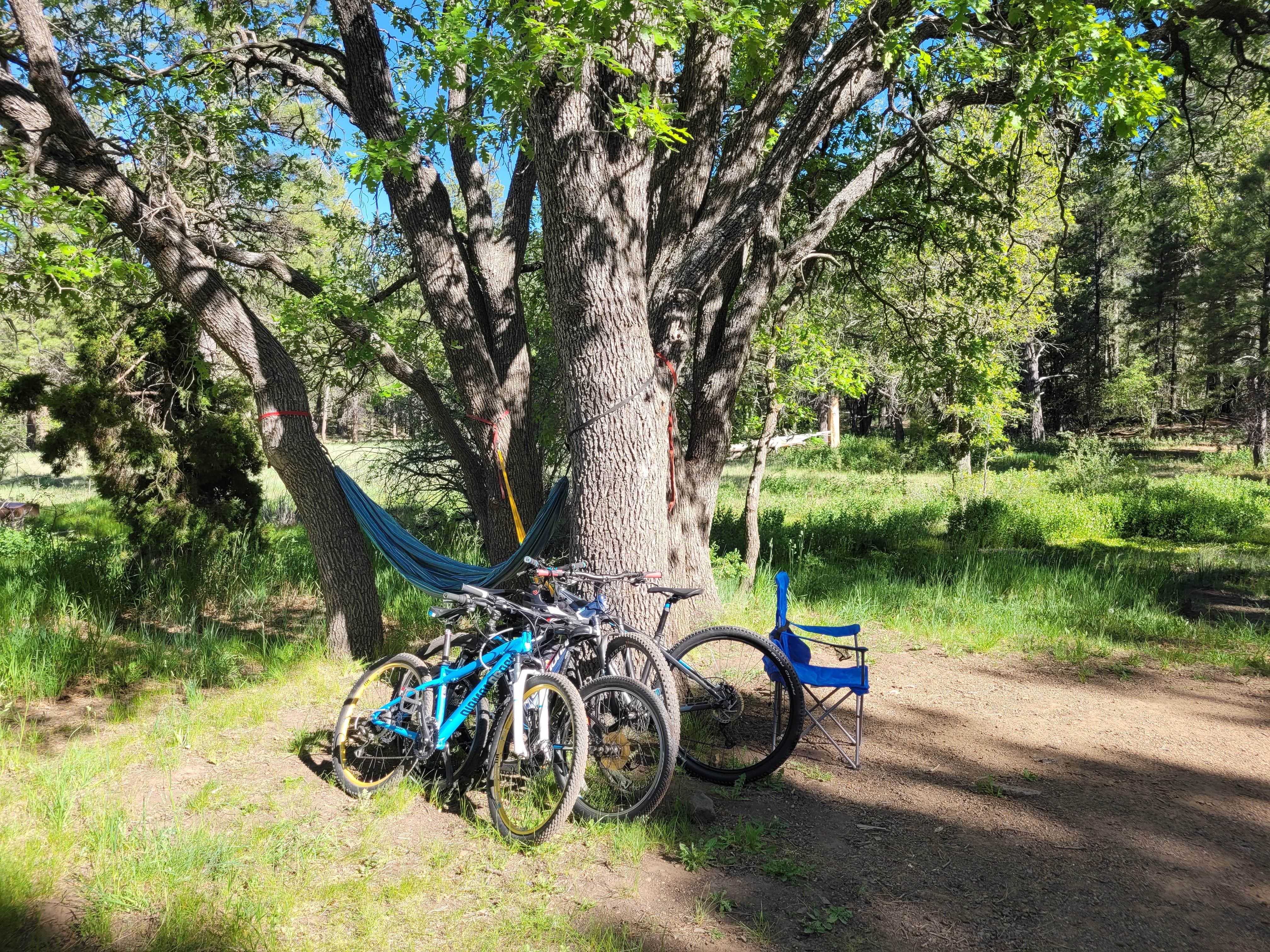 Camper submitted image from Double Springs Campground - 3