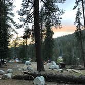 Review photo of Lodgepole Campground — Sequoia National Park by Susan V., June 14, 2021