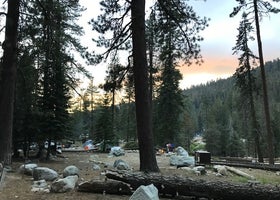 Lodgepole Campground