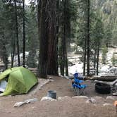 Review photo of Lodgepole Campground — Sequoia National Park by Susan V., June 14, 2021